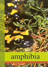 literatur_amphibia