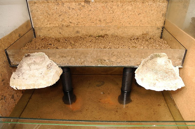 Landteil in Aquaterrarium