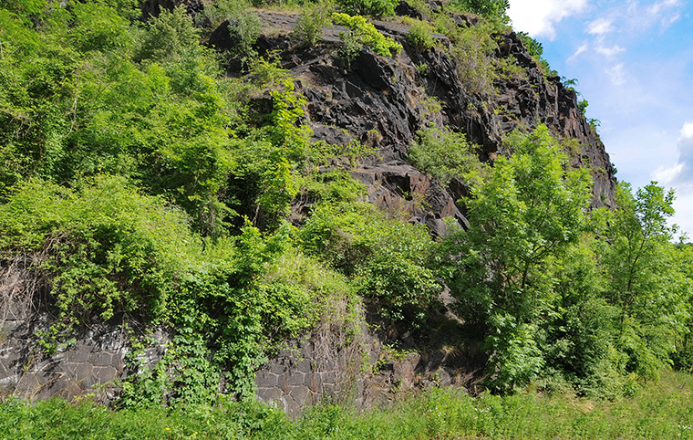 Felswand, Biotop für Mauereidechsen