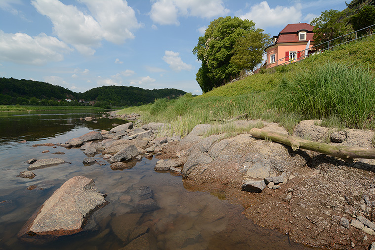 Biotop Würfelnatter Elbe