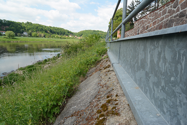 Biotop Würfelnatter Elbe