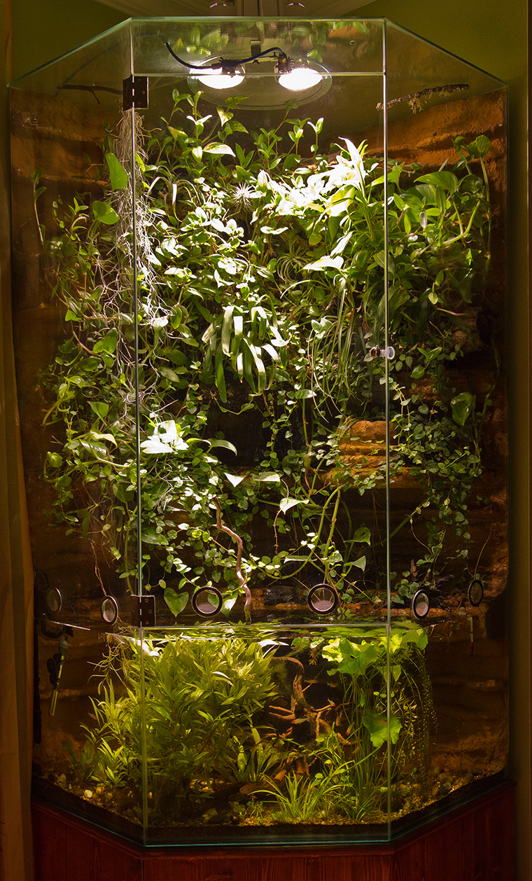 Vitrine als Aqua-Terrarium, Komplettansicht