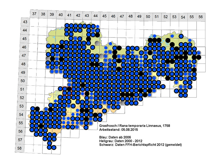 Amphibienkartierung Sachsen Grasfrosch