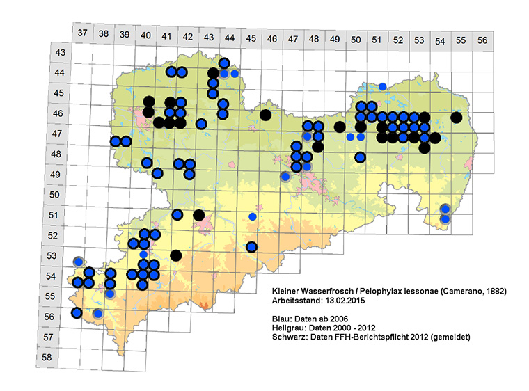 Amphibienkartierung Sachsen Kleiner Wasserfrosch