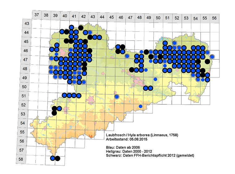 Amphibienkartierung Sachsen Laubfrosch