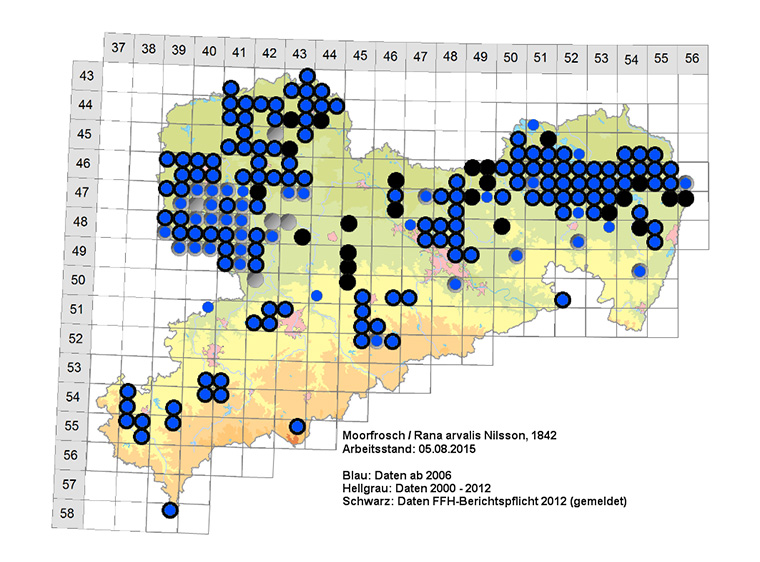 Amphibienkartierung Sachsen Moorfrosch