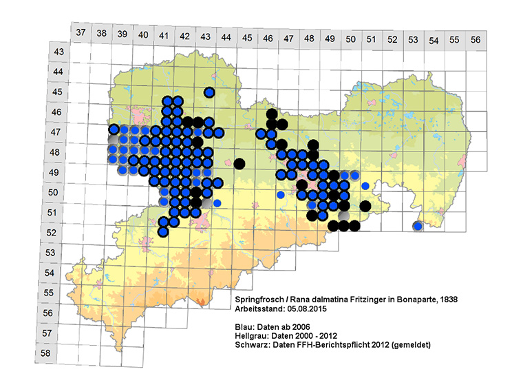 Amphibienkartierung Sachsen Springfrosch