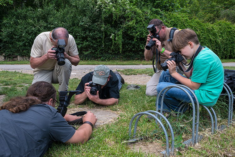 Tierfotografie