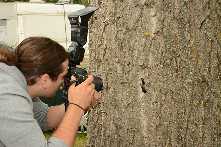 Tierfotografie