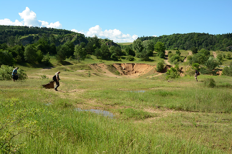 Wechselkröten Biotop, Berounka-Tal