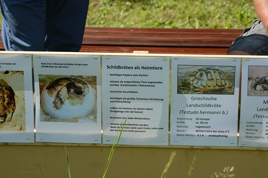 Hinweise zur Schildkrötenhaltung