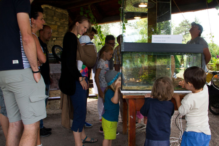 Besucher vor Ausstellungsterrarien