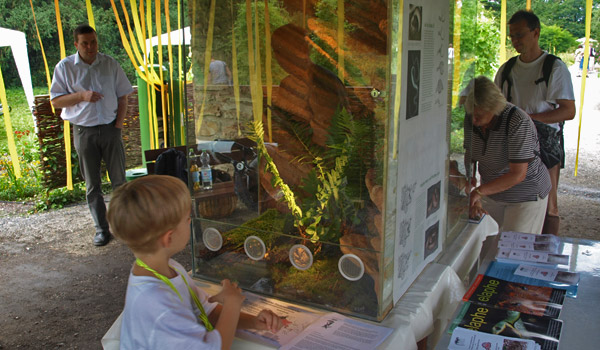 Terrarien-Ausstellung zum Sommerfest im Botanischen Garten