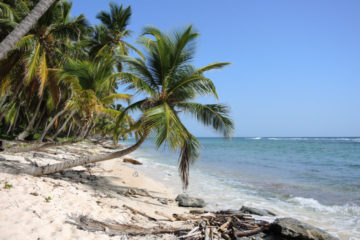 Küste, Karibik