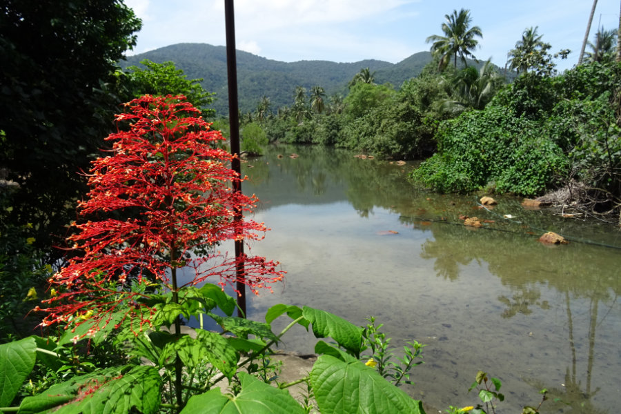 Koh Chang -Flusslauf Südküste