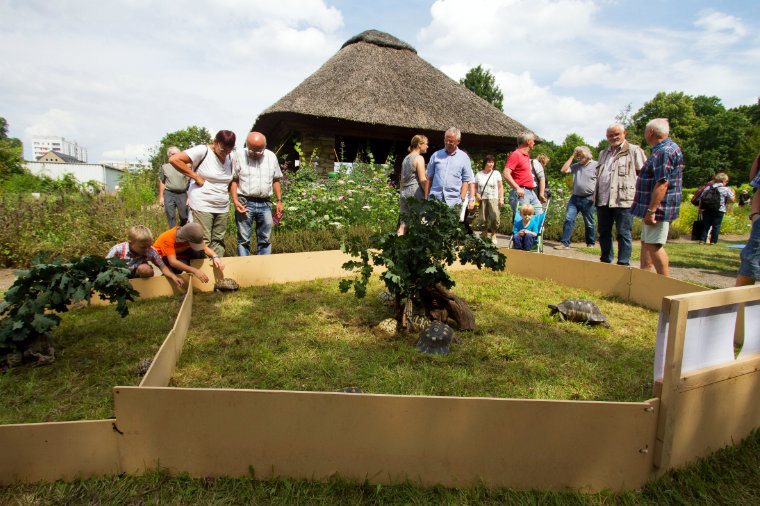 Präsentation der Stadtgruppe zum Sommerfest im Botanischen Garten Dresden