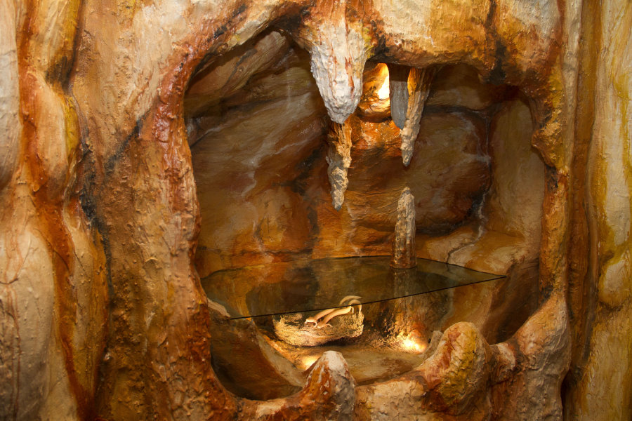 Diorama für Grottenolme (plastische Nachbildungen)