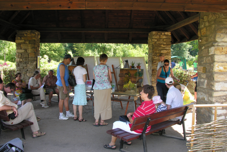 Präsentation der Stadtgruppe zum Sommerfest im Botanischen Garten Dresden