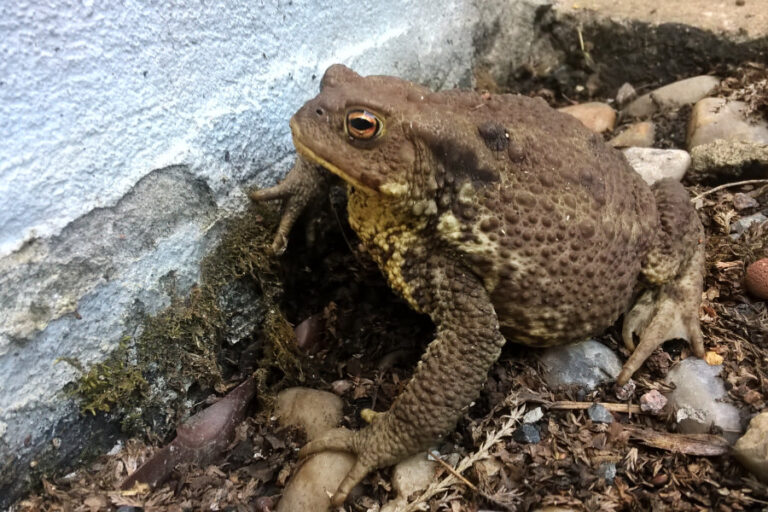 Aus eigenen Reihen