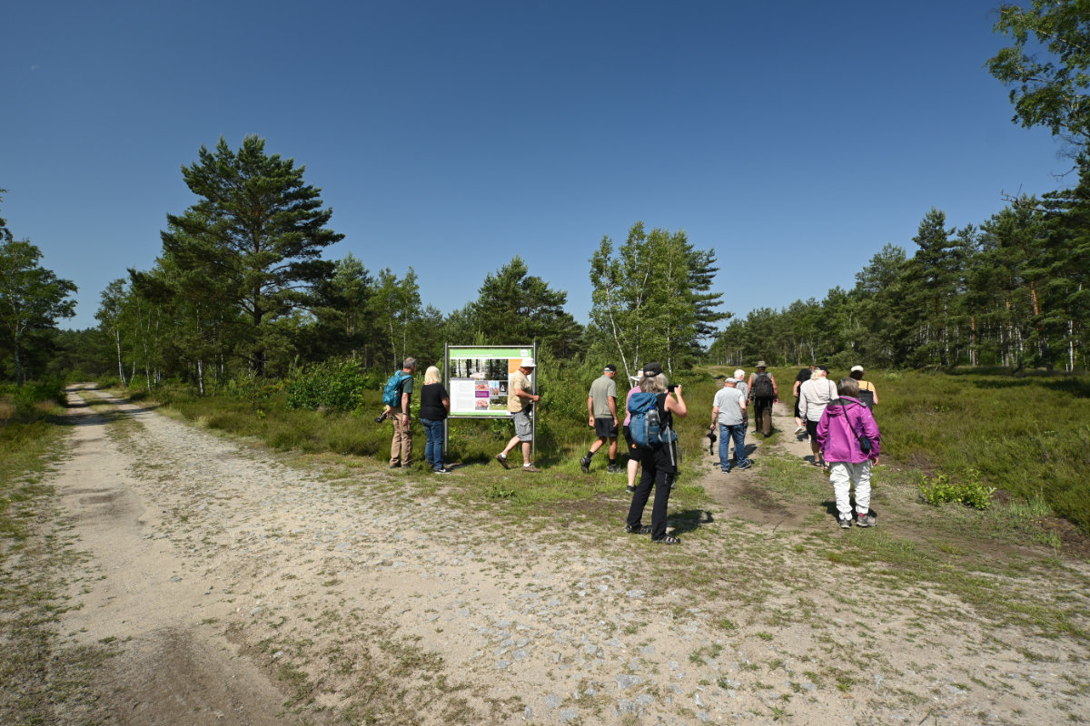 Gruppe vor Wiesenfläche