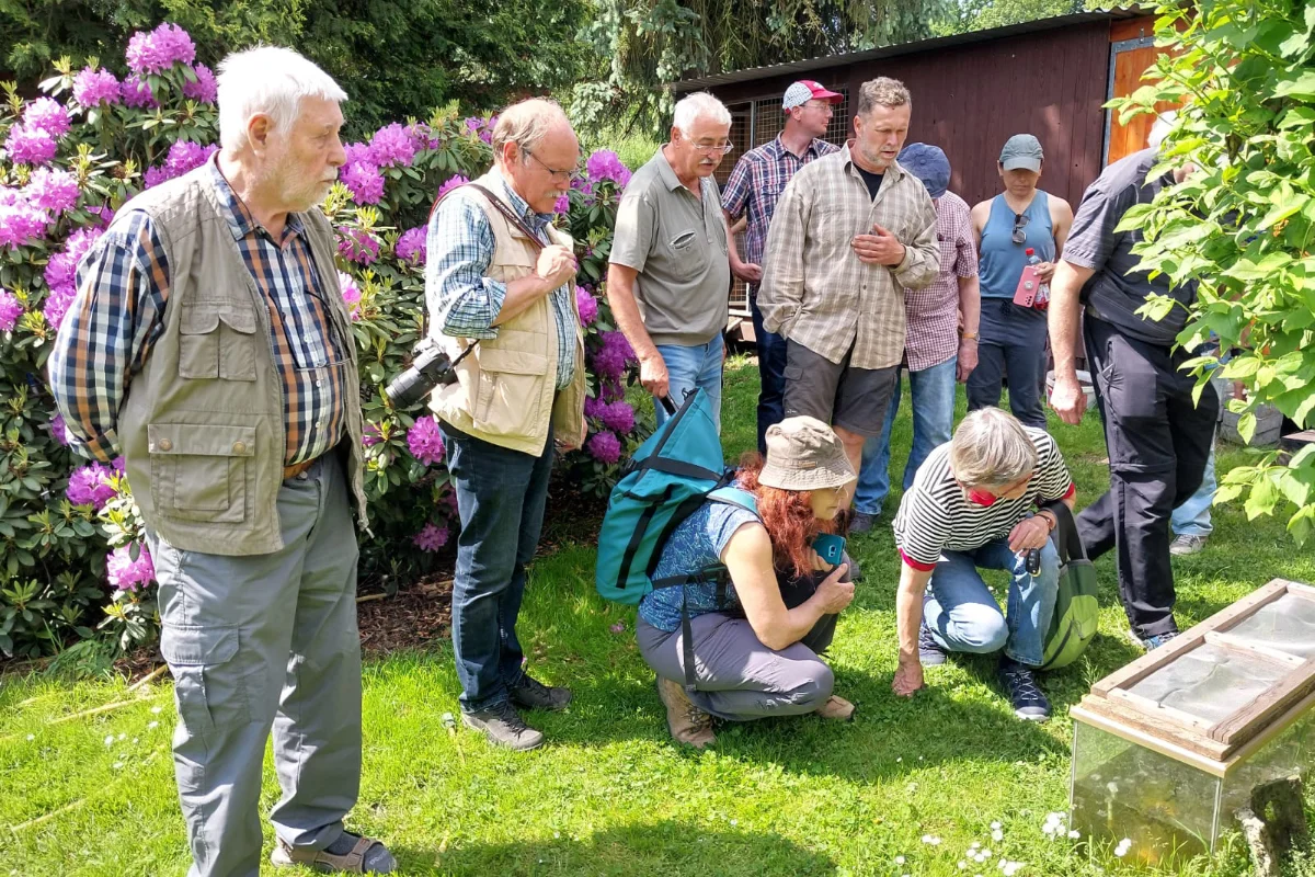 Gruppe im Garten