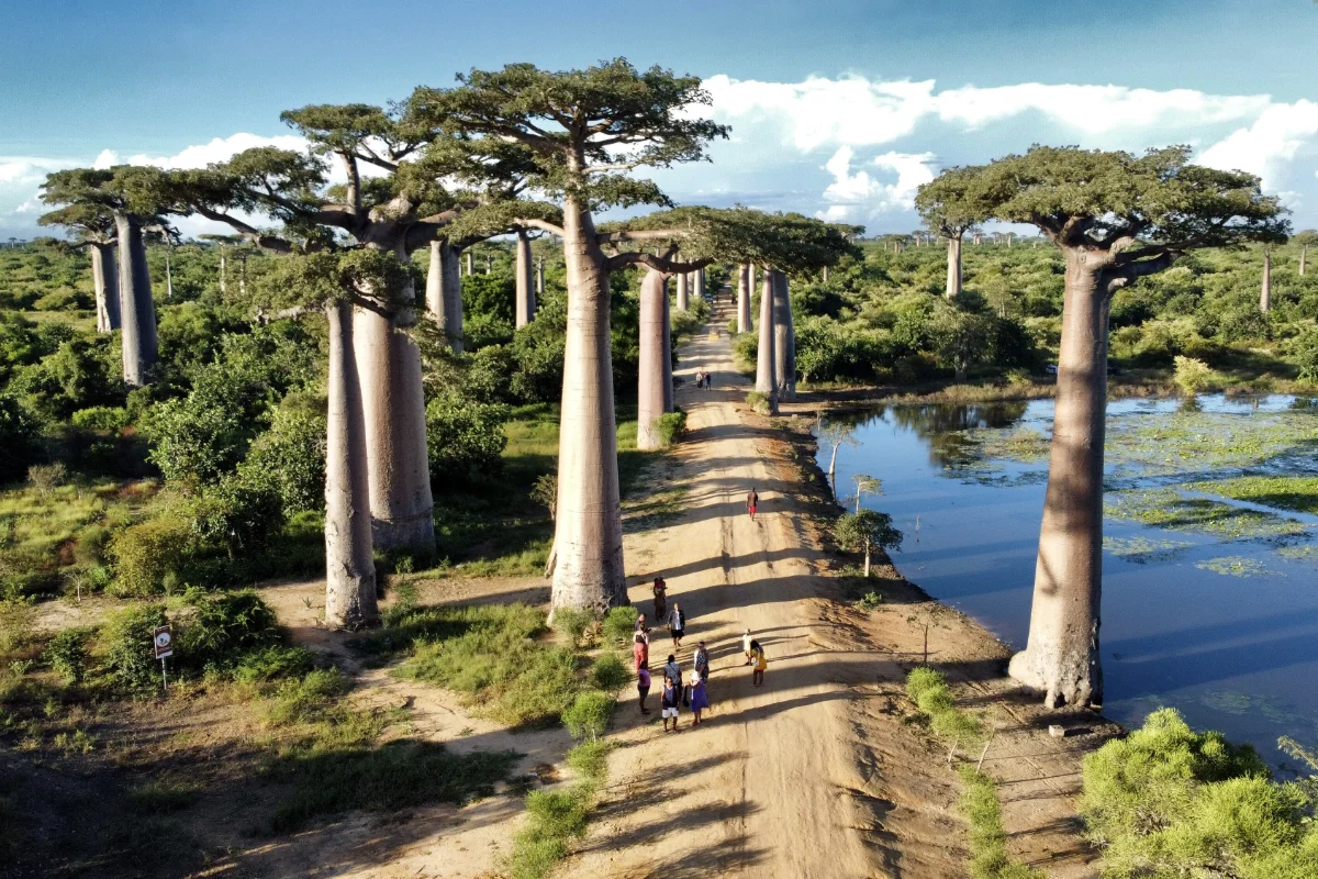 Madagaskar, Landschaft